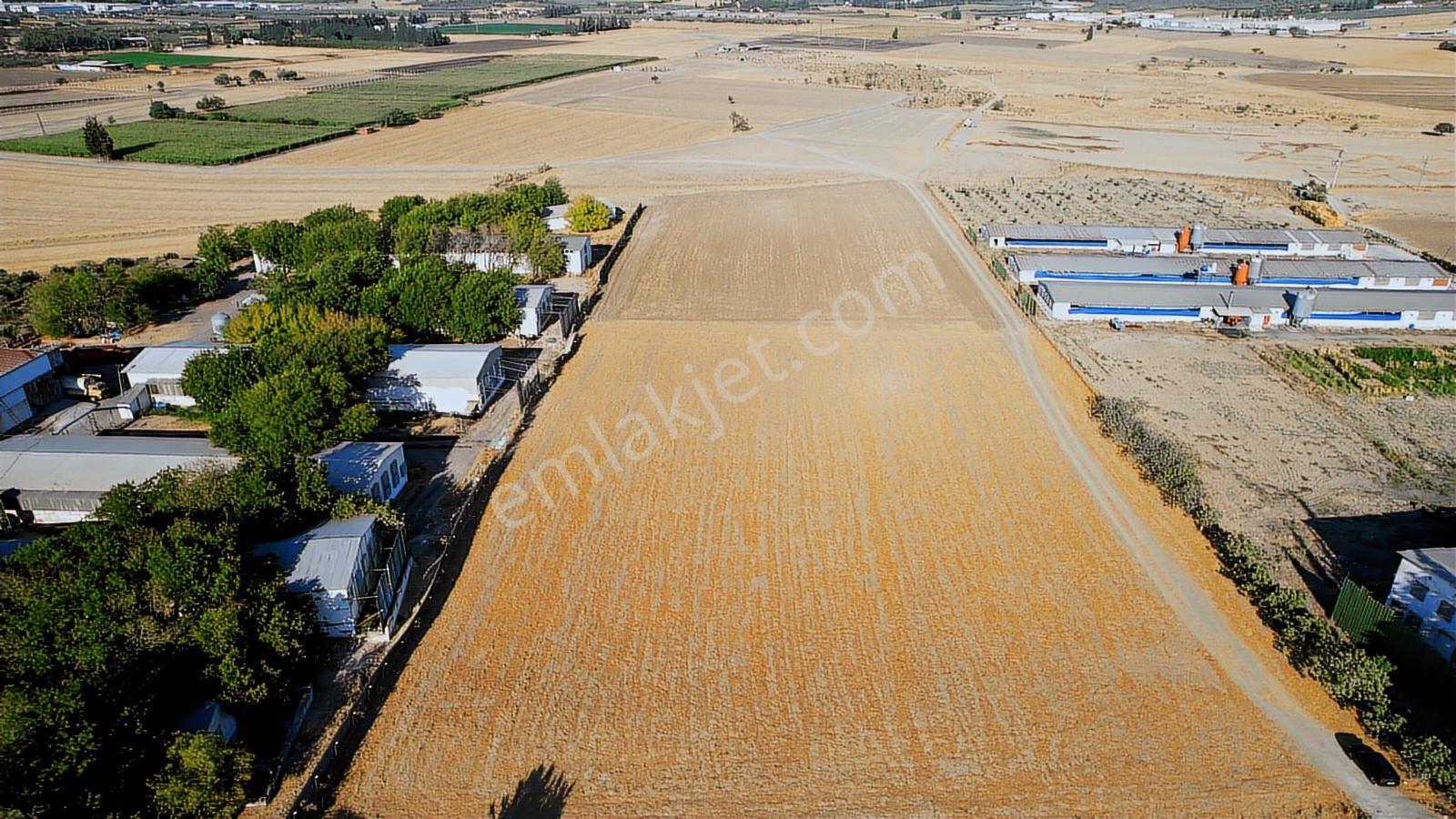 15 Remax Best'ten Ilıpınar'da Yola Cepheli Tarla — fotoğraf 30