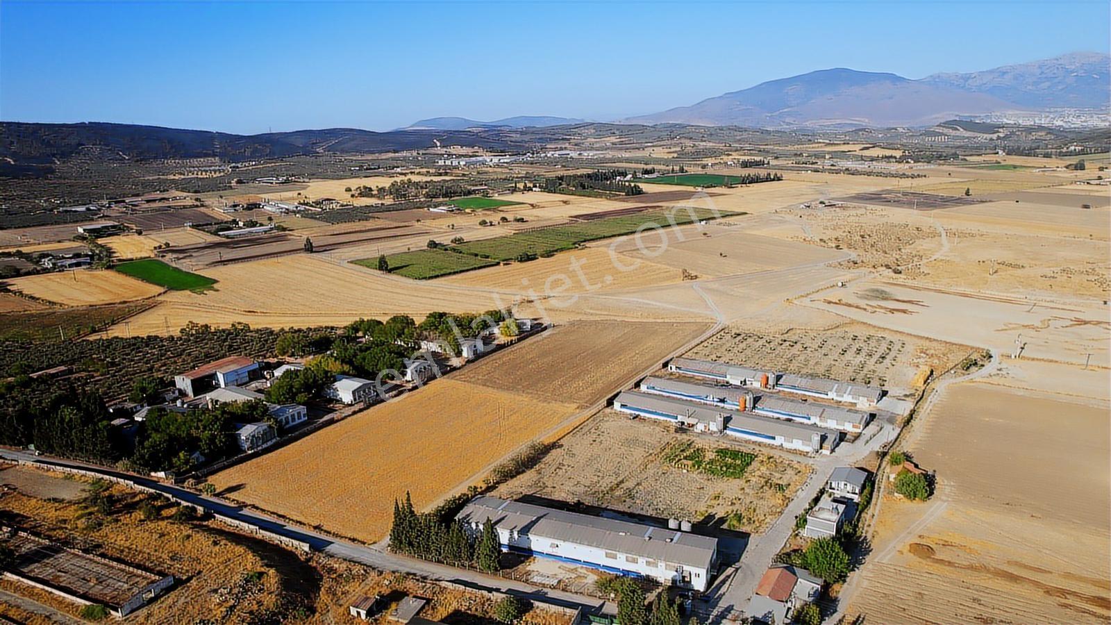 15 Remax Best'ten Ilıpınar'da Yola Cepheli Tarla — fotoğraf 32