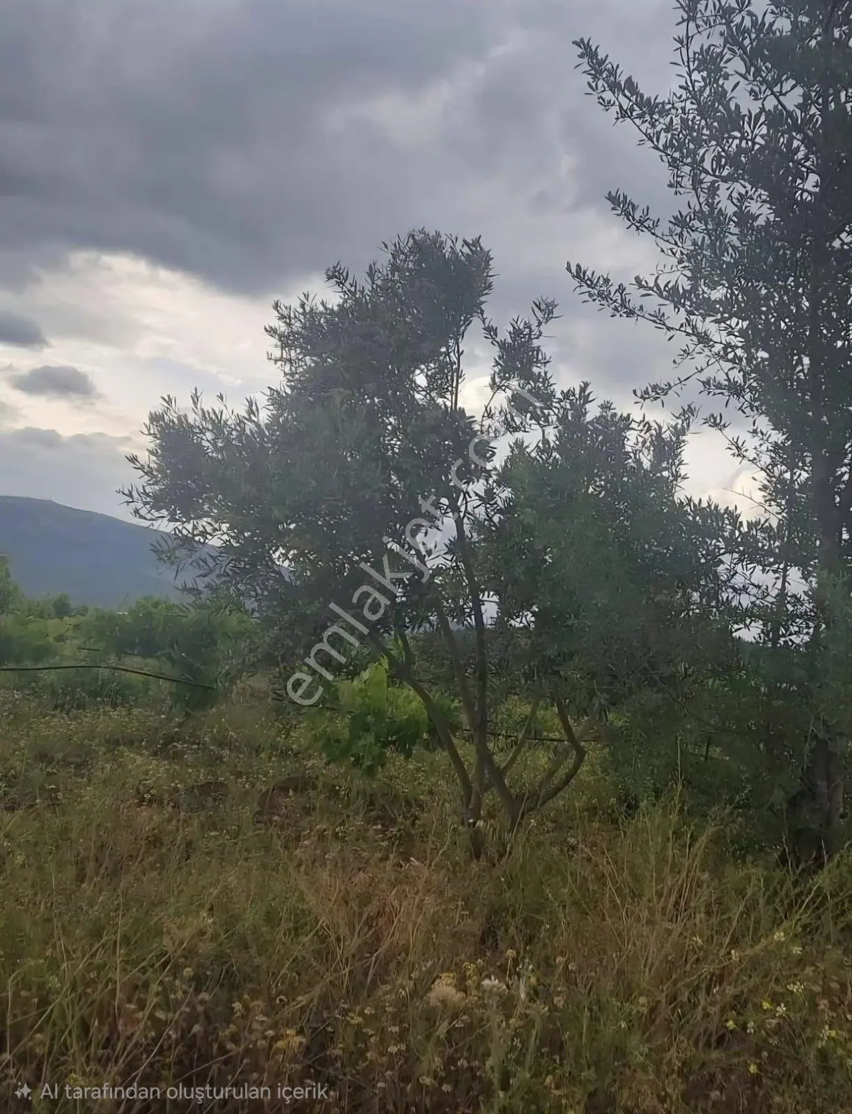 Çal Satılık Bağ — fotoğraf 2