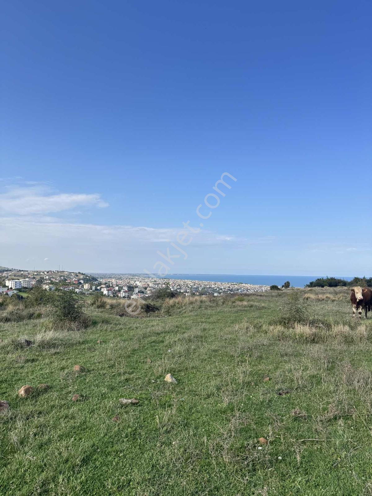 Şehrin Gürültüsünden Uzak, Manzaraya Komşu 384 M² Arsa — fotoğraf 9