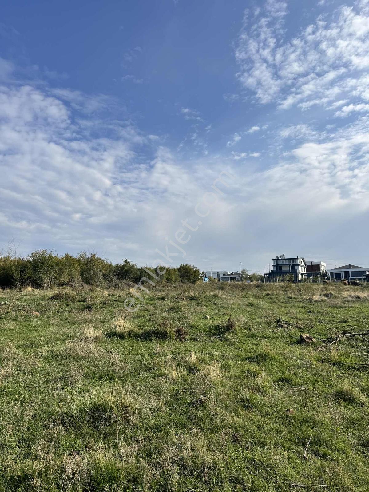 Şehrin Gürültüsünden Uzak, Manzaraya Komşu 384 M² Arsa — fotoğraf 18