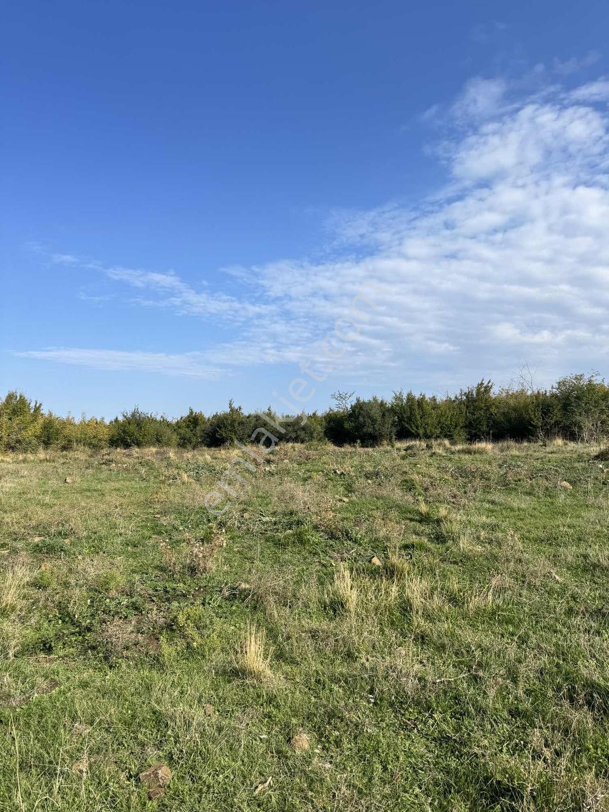 Şehrin Gürültüsünden Uzak, Manzaraya Komşu 384 M² Arsa — fotoğraf 19