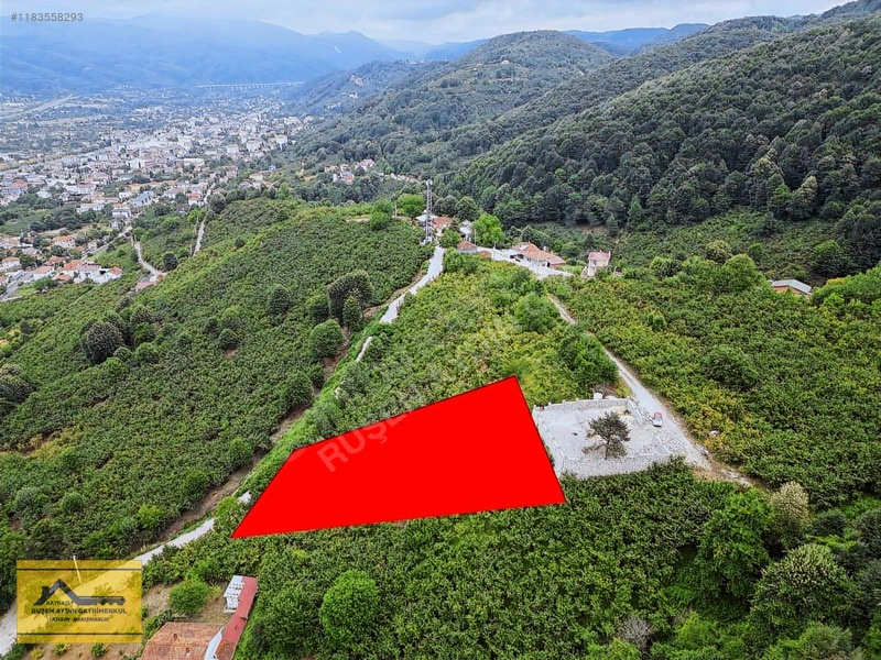 Ruşen Aydın G.menkul'den Düzce Kaynaşlı Karaçalı Mah Satılk Arsa — fotoğraf 5