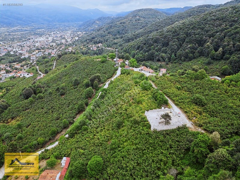 Ruşen Aydın G.menkul'den Düzce Kaynaşlı Karaçalı Mah Satılk Arsa — fotoğraf 6