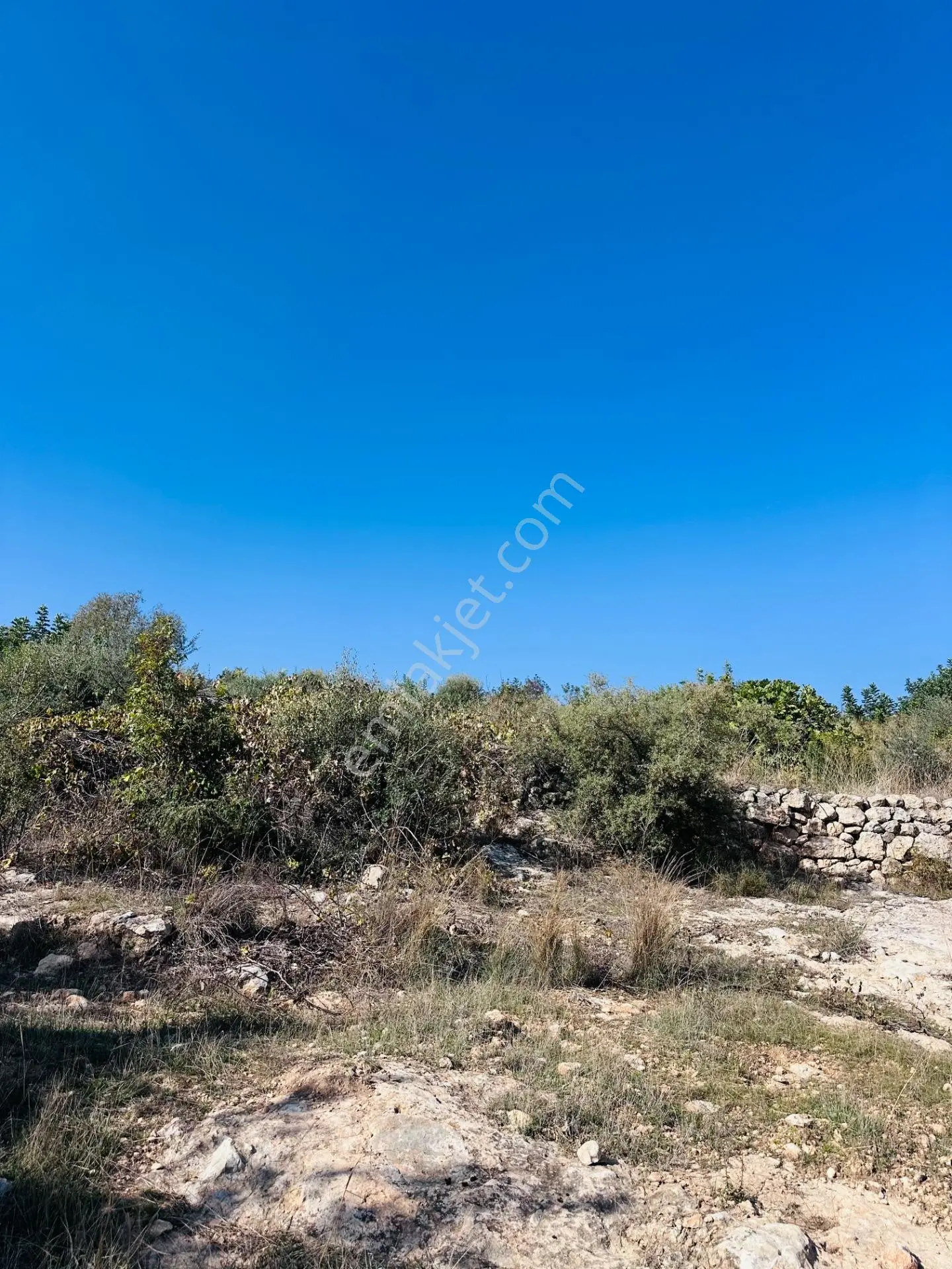 Aziz Emlak’tan Resul Köyü Ünde Satılık 2700 Metrekare Full Mersin Manzaralı Yolda İkinci Parsel — fotoğraf 5