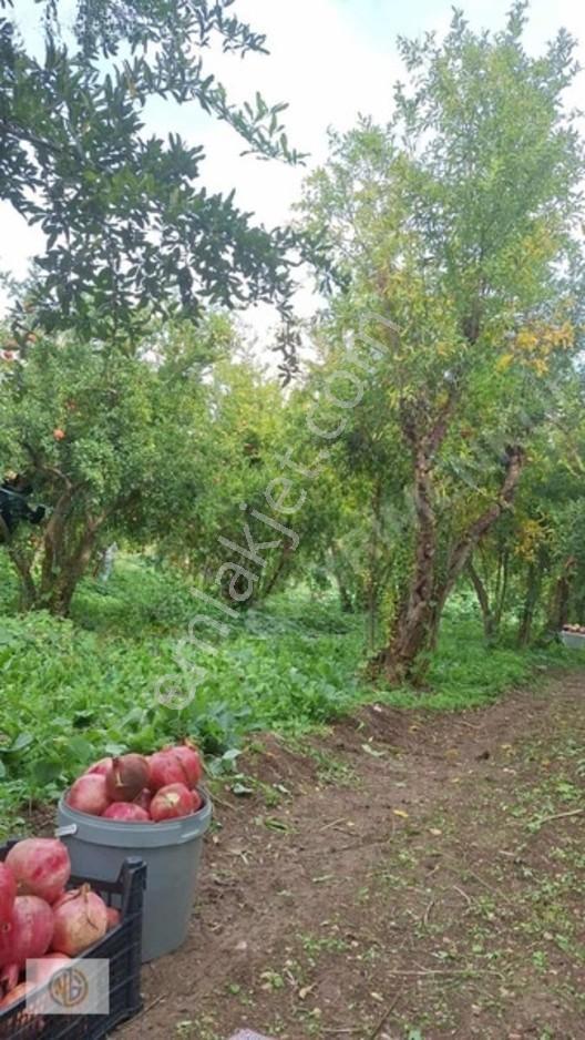 Oğuzeli Kurtuluş Kupon Arazi — fotoğraf 3