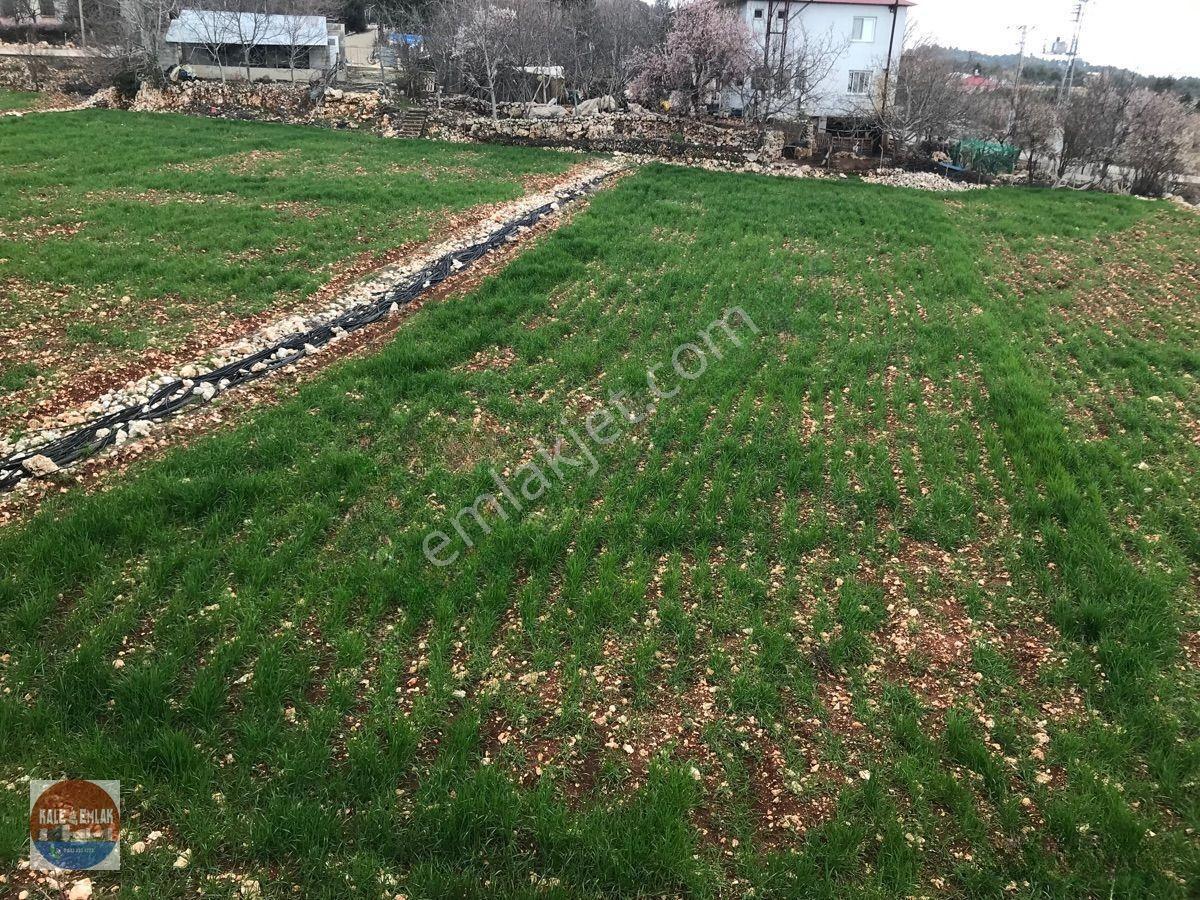 Erdemli-küstülü’de Satılık Ev Ve Hafriyatı Yapılmış Tarla — fotoğraf 13