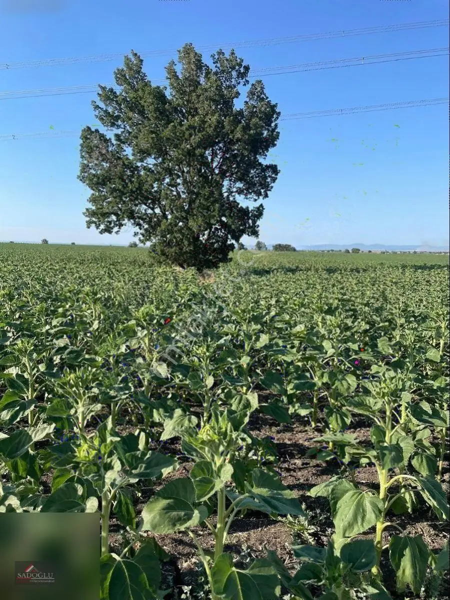 Lüleburgaz Hamıtabat'ta 16.973 M2 Satılık — fotoğraf 10