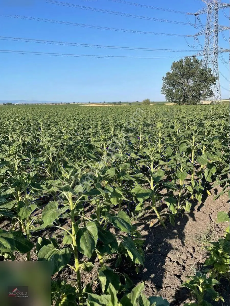 Lüleburgaz Hamıtabat'ta 16.973 M2 Satılık — fotoğraf 13