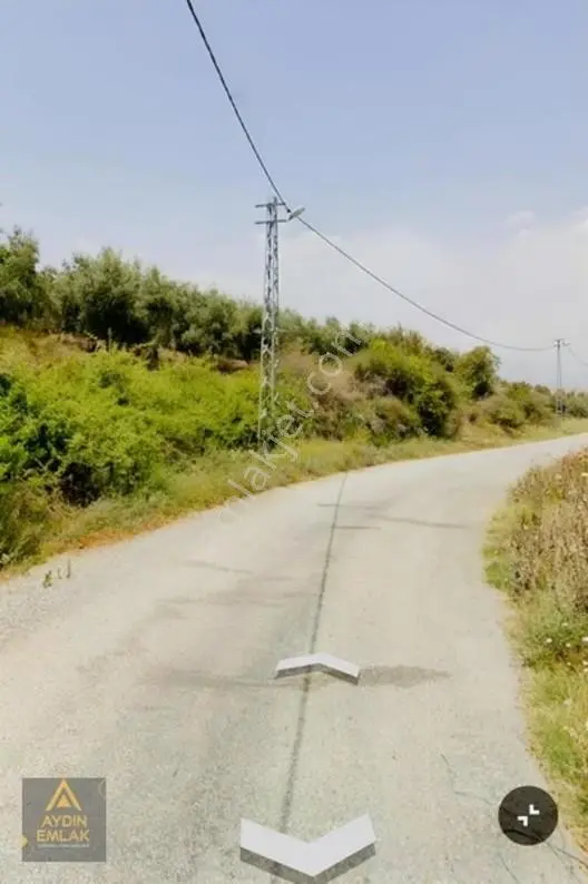 Aydın Emlakta İncirğediği Zeytinlik Bahçe 1880m2*köyiçi — fotoğraf 3