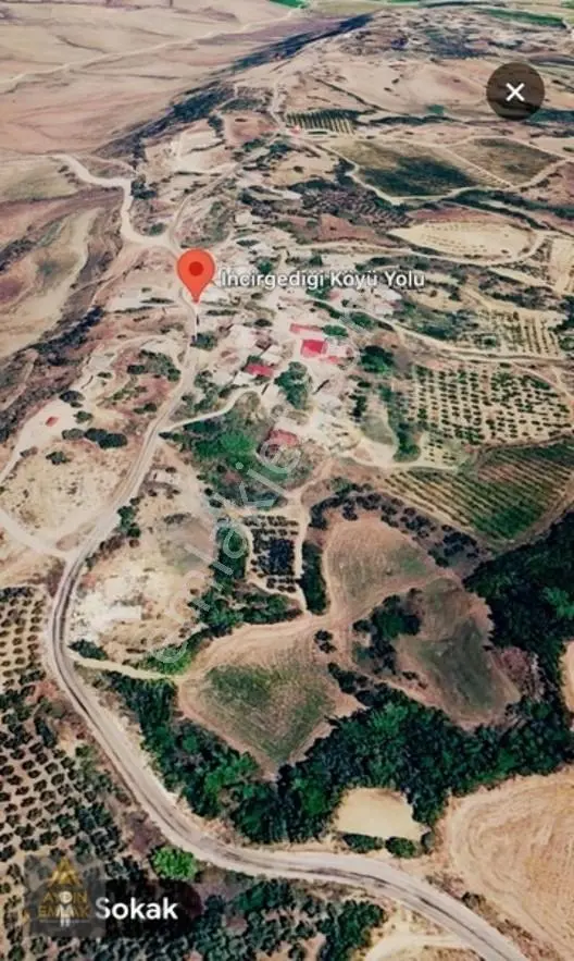Aydın Emlakta İncirğediği Zeytinlik Bahçe 1880m2*köyiçi — fotoğraf 7