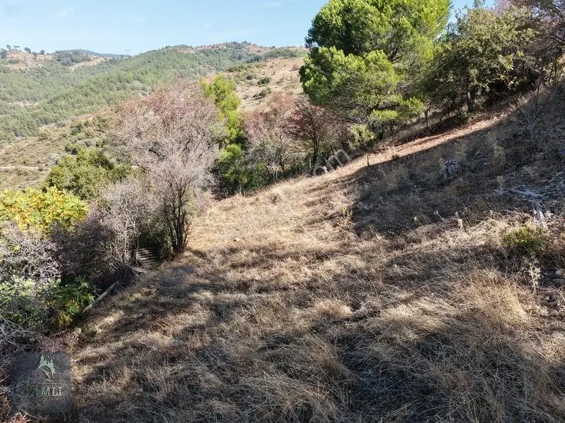 Çamtepe Köyünde Vadi Manzaralı, Köy İçi İmarlı Satılık Arsa — fotoğraf 10
