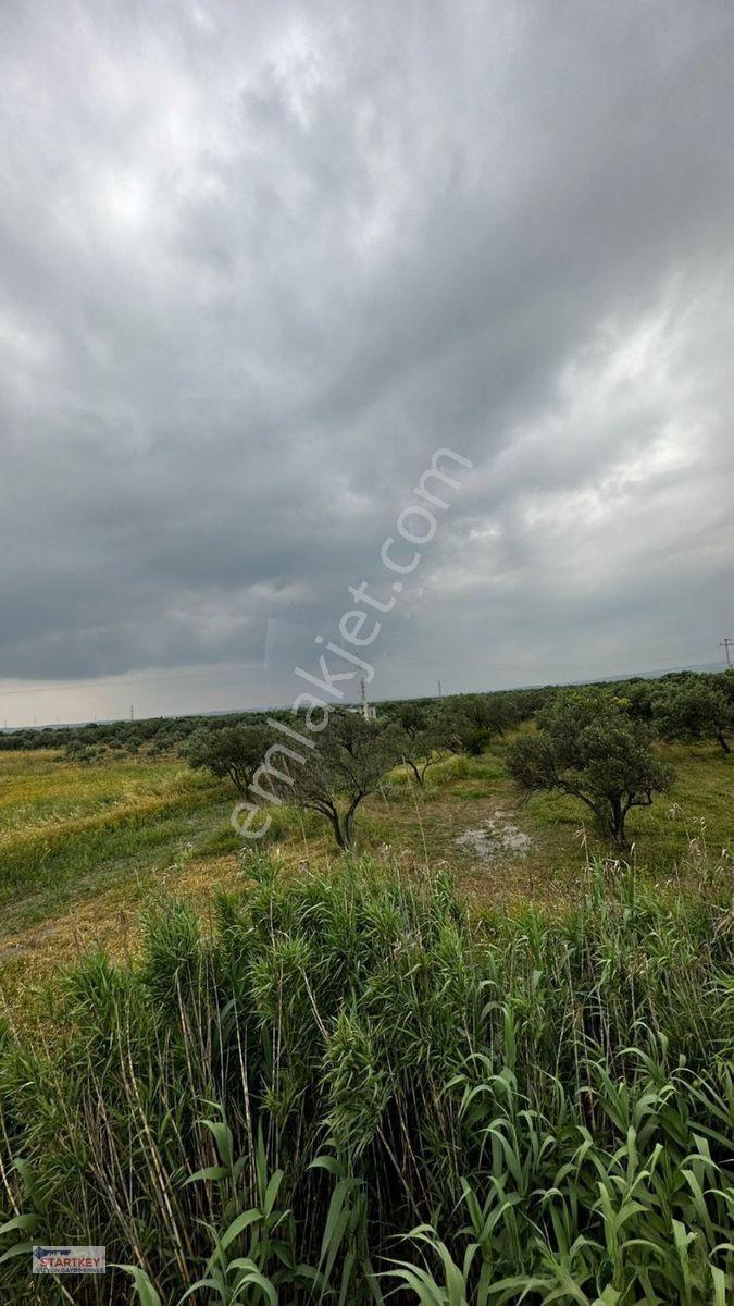 Akhisar Aziosb Tam Karşısı Harika Konumda Asfalt Üstü 1350m2 — fotoğraf 4