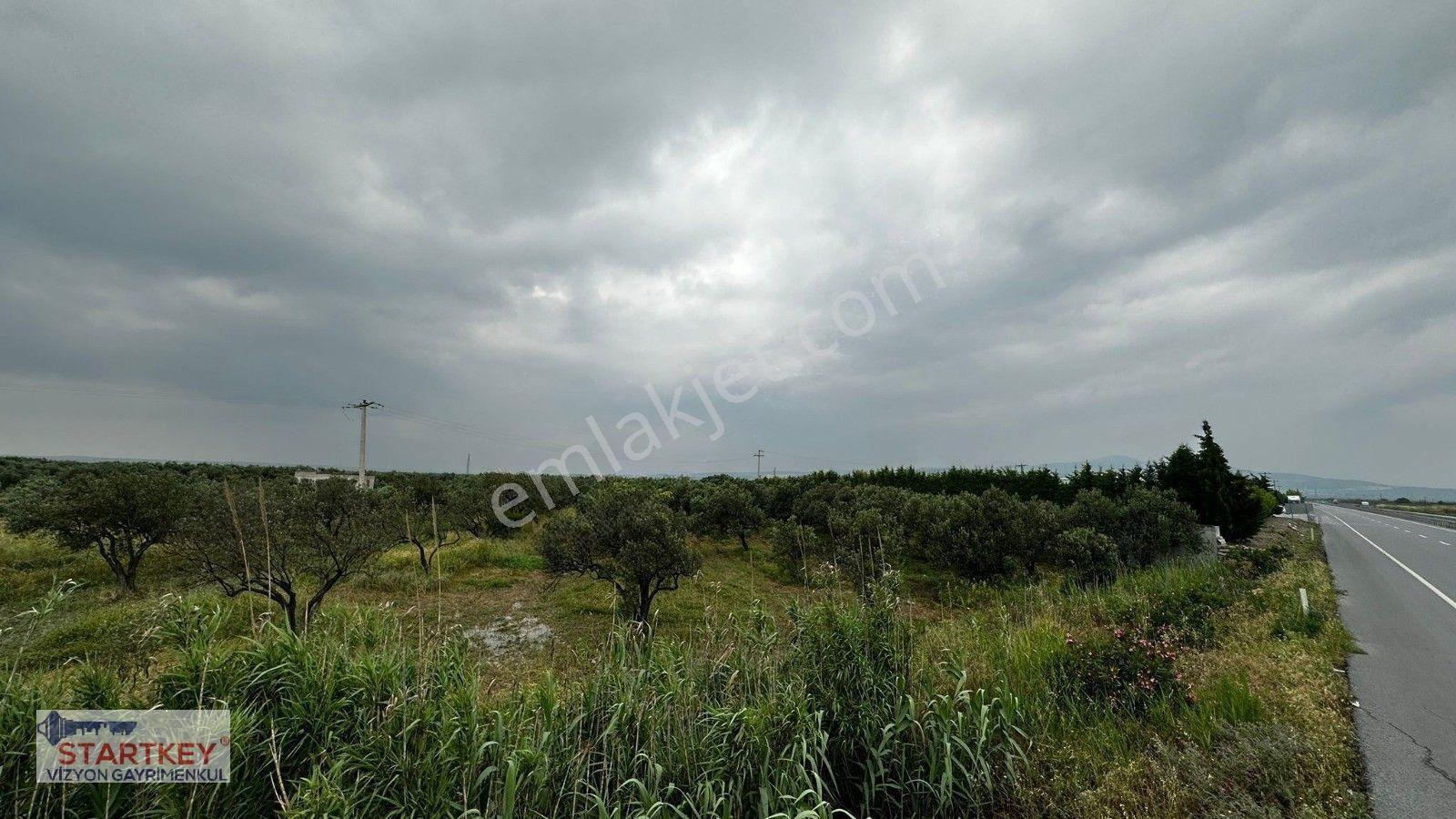 Akhisar Aziosb Tam Karşısı Harika Konumda Asfalt Üstü 1350m2 — fotoğraf 6