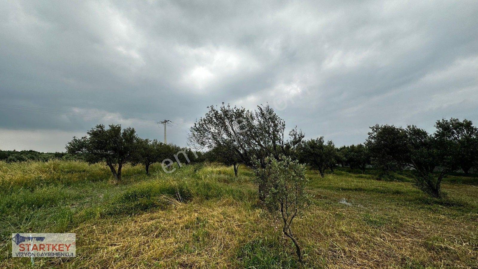 Akhisar Aziosb Tam Karşısı Harika Konumda Asfalt Üstü 1350m2 — fotoğraf 8