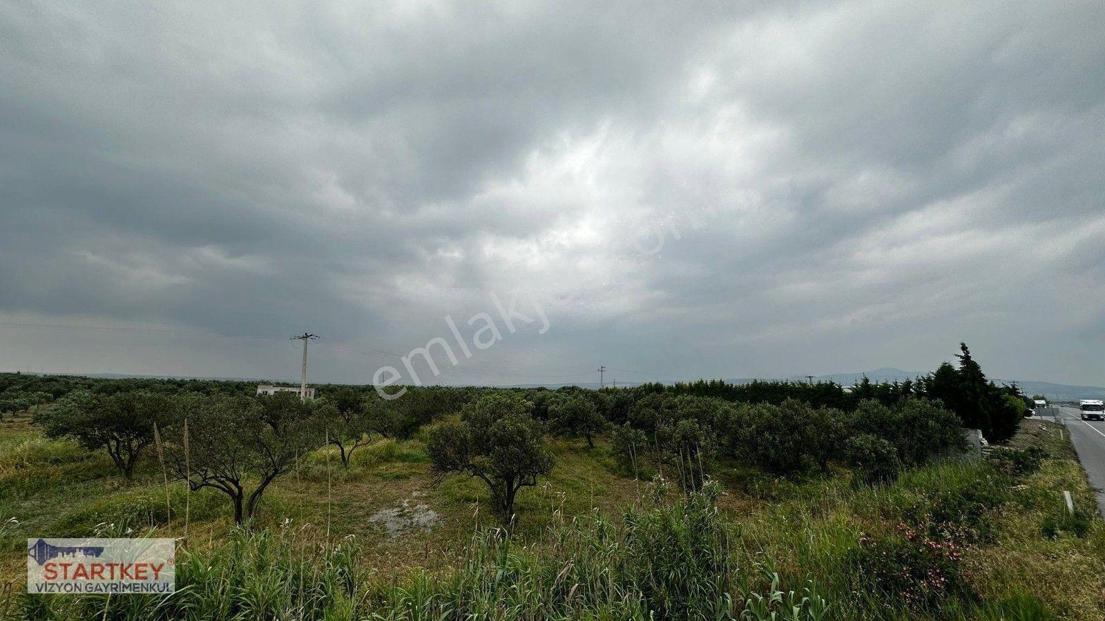Akhisar Aziosb Tam Karşısı Harika Konumda Asfalt Üstü 1350m2 — fotoğraf 9