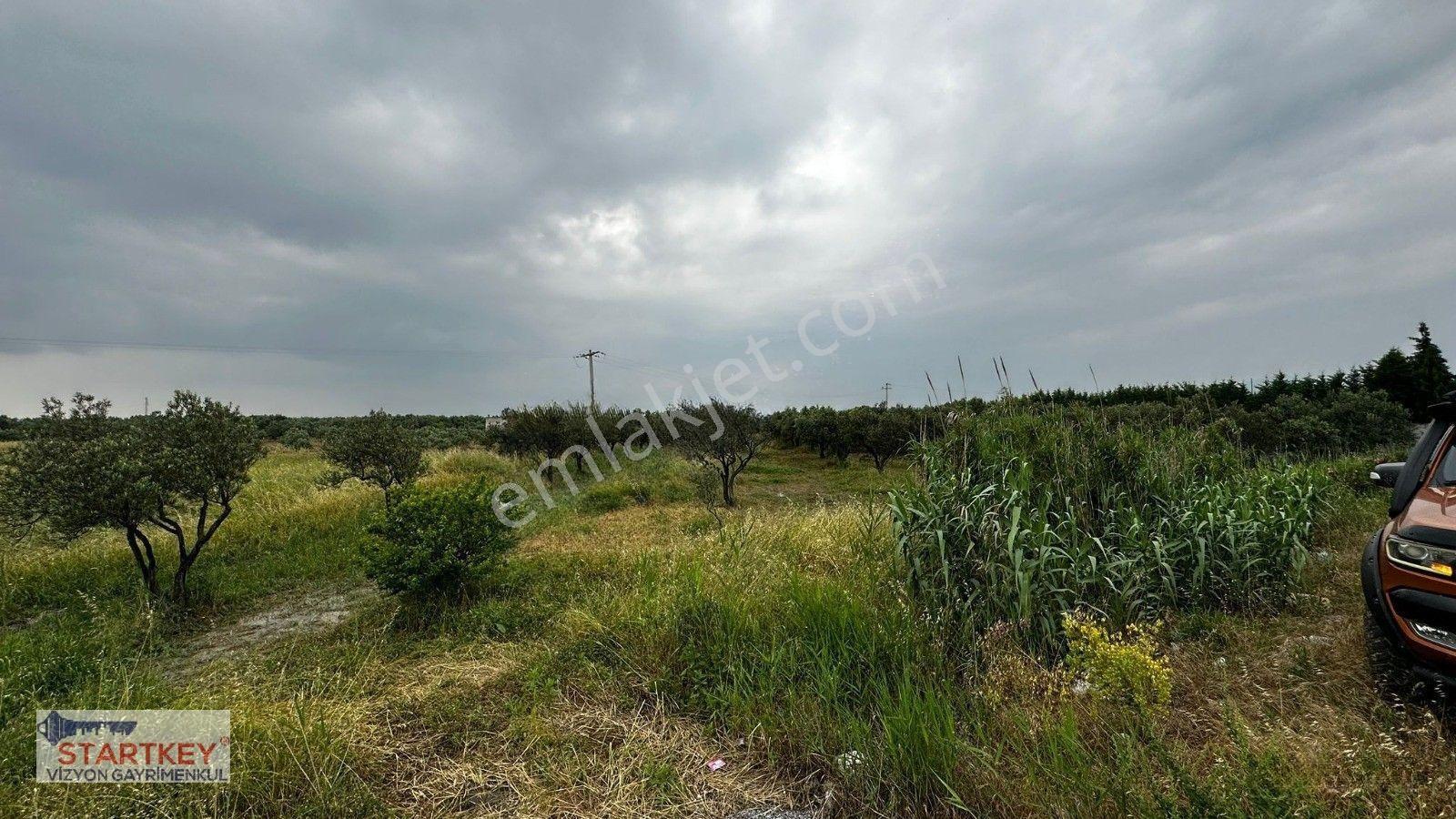 Akhisar Aziosb Tam Karşısı Harika Konumda Asfalt Üstü 1350m2 — fotoğraf 14