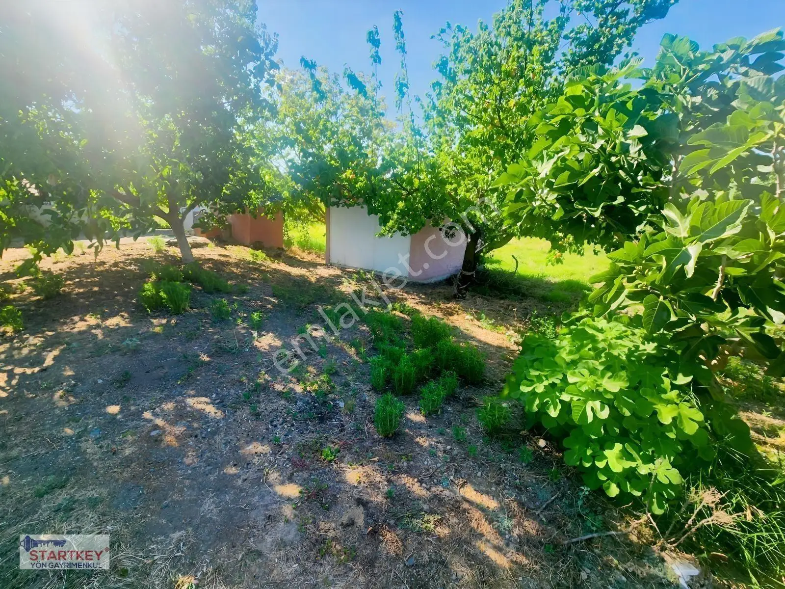 Startkey Yönden Üçpınarda Tel Örgü İle Çevrili Hobi Bahçesi — fotoğraf 18