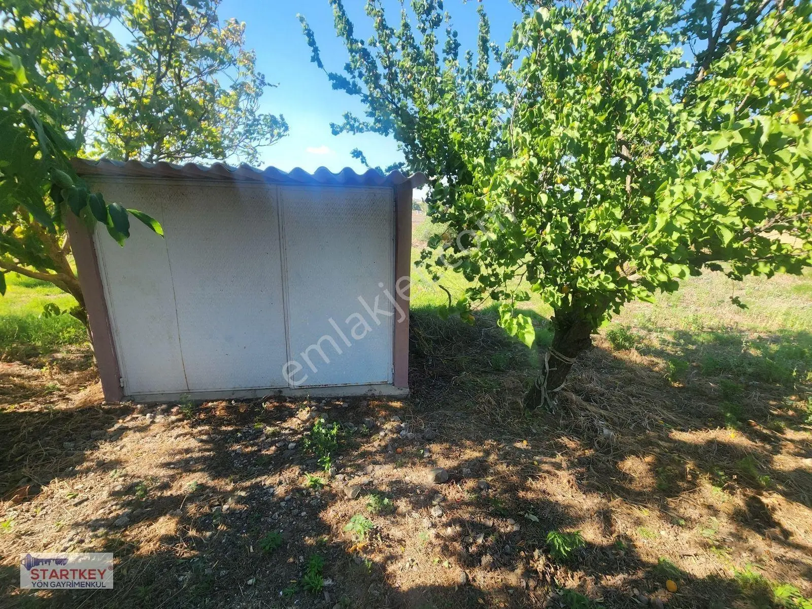 Startkey Yönden Üçpınarda Tel Örgü İle Çevrili Hobi Bahçesi — fotoğraf 23