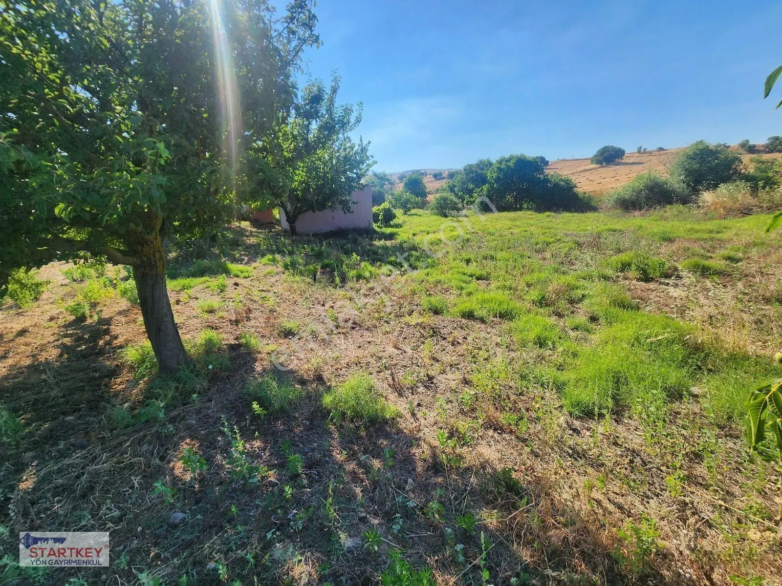 Startkey Yönden Üçpınarda Tel Örgü İle Çevrili Hobi Bahçesi — fotoğraf 27