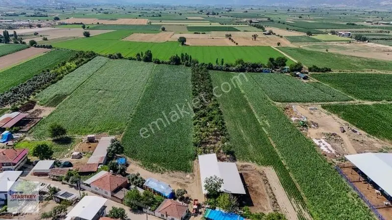 Aydın Çine Sarıoğlu Mh 19.614 M2 Satılık Tarla — fotoğraf 6