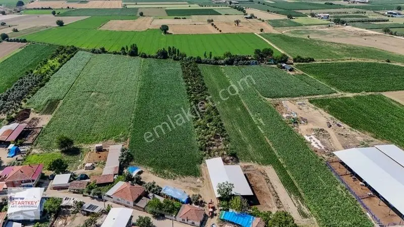 Aydın Çine Sarıoğlu Mh 19.614 M2 Satılık Tarla — fotoğraf 7