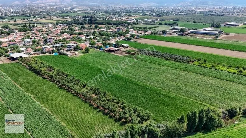 Aydın Çine Sarıoğlu Mh 19.614 M2 Satılık Tarla — fotoğraf 8