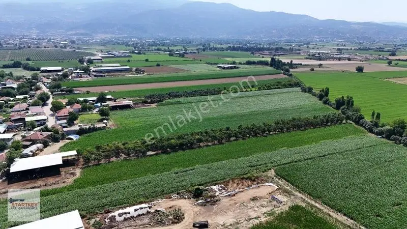 Aydın Çine Sarıoğlu Mh 19.614 M2 Satılık Tarla — fotoğraf 9