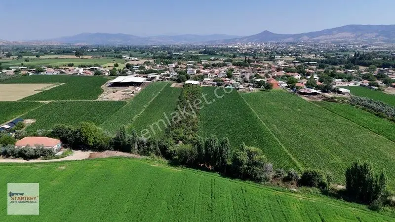 Aydın Çine Sarıoğlu Mh 19.614 M2 Satılık Tarla — fotoğraf 10