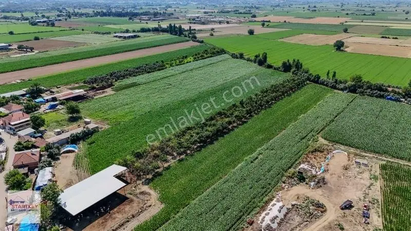Aydın Çine Sarıoğlu Mh 19.614 M2 Satılık Tarla — fotoğraf 11
