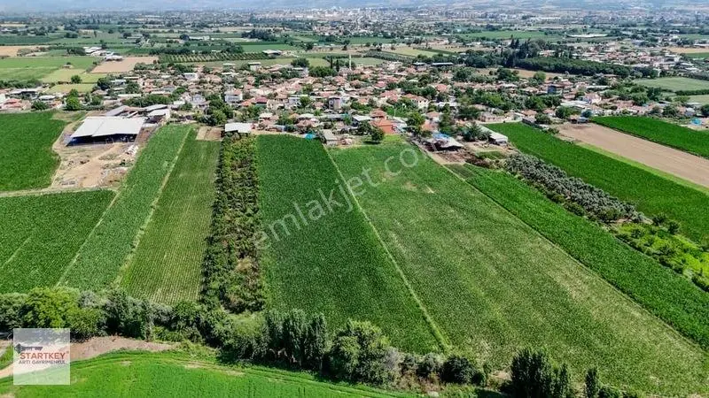 Aydın Çine Sarıoğlu Mh 19.614 M2 Satılık Tarla — fotoğraf 12