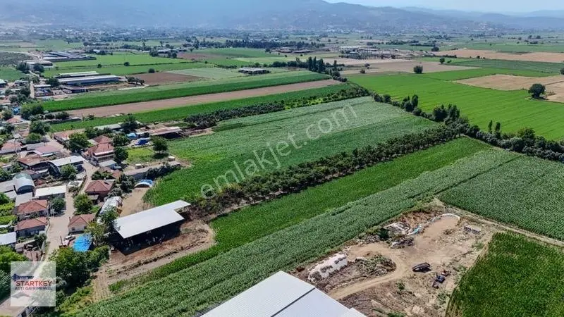 Aydın Çine Sarıoğlu Mh 19.614 M2 Satılık Tarla — fotoğraf 13