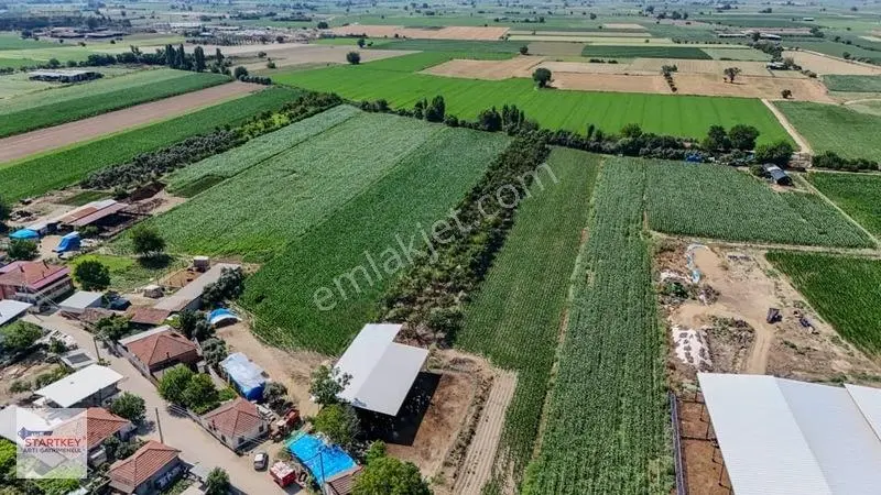 Aydın Çine Sarıoğlu Mh 19.614 M2 Satılık Tarla — fotoğraf 14