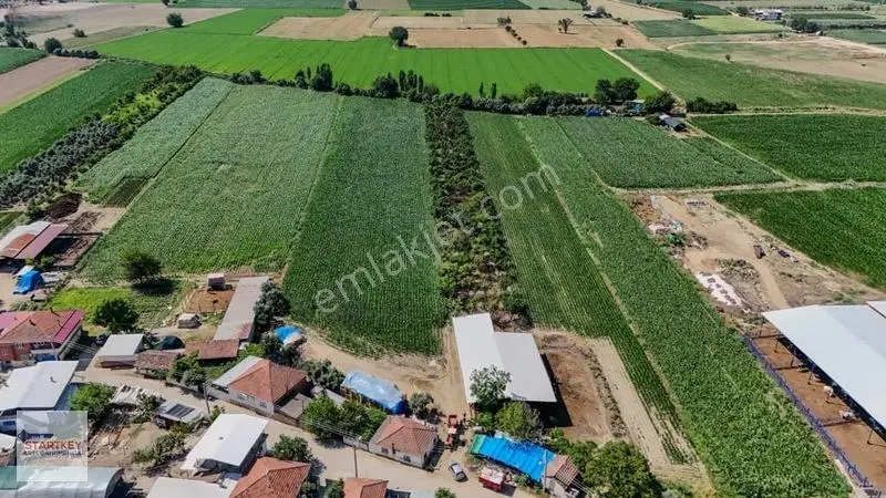 Aydın Çine Sarıoğlu Mh 19.614 M2 Satılık Tarla — fotoğraf 16