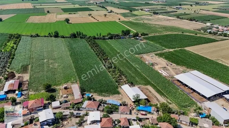 Aydın Çine Sarıoğlu Mh 19.614 M2 Satılık Tarla — fotoğraf 17