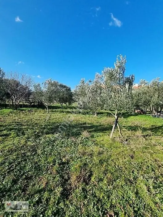 Han Emlaktan Ezine Mahmudiye'de Fırsat 375m2 Satılık İmarlı Arsa — fotoğraf 27