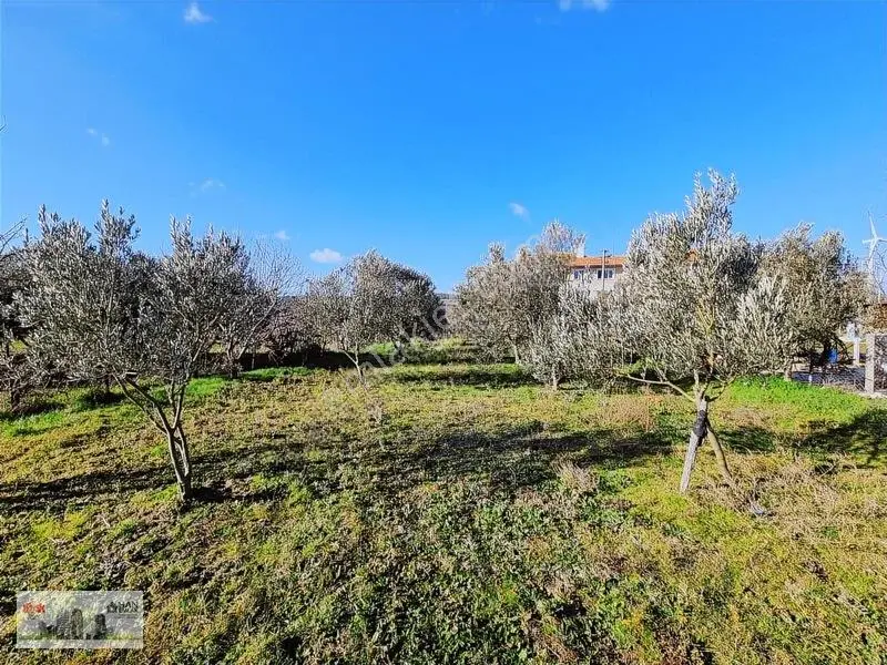 Han Emlaktan Ezine Mahmudiye'de Fırsat 375m2 Satılık İmarlı Arsa — fotoğraf 28