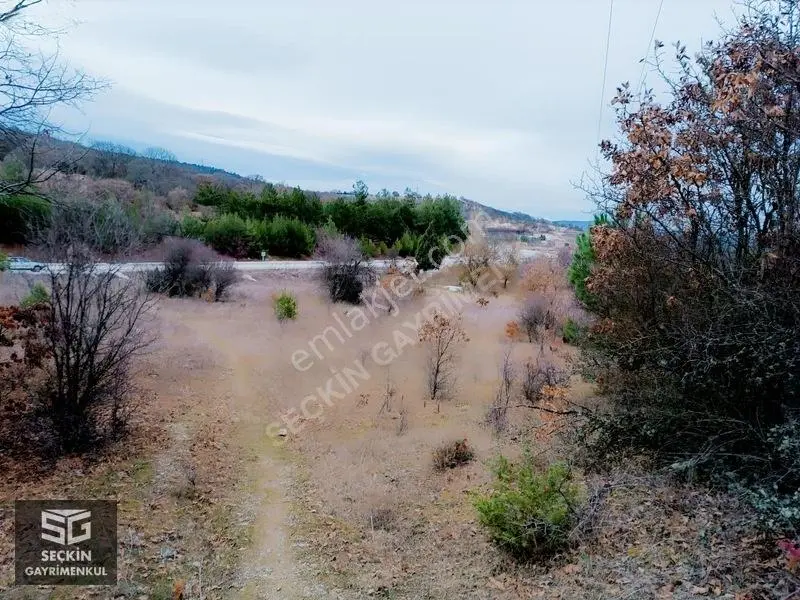 Satılık Tek Tapu 62 Dönüm Yatırımlık Tarla — fotoğraf 8