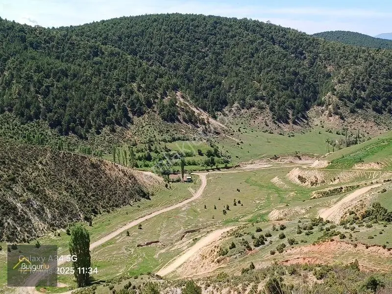 Kütahya Tavşanlı Dudaşta Kelepir Arazi. — fotoğraf 7