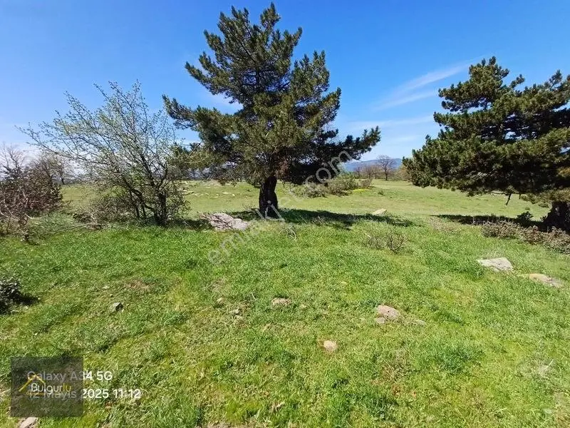 Kütahya Tavşanlı Dudaşta Kelepir Arazi. — fotoğraf 20