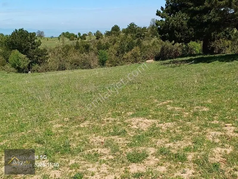 Kütahya Tavşanlı Dudaşta Kelepir Arazi. — fotoğraf 22
