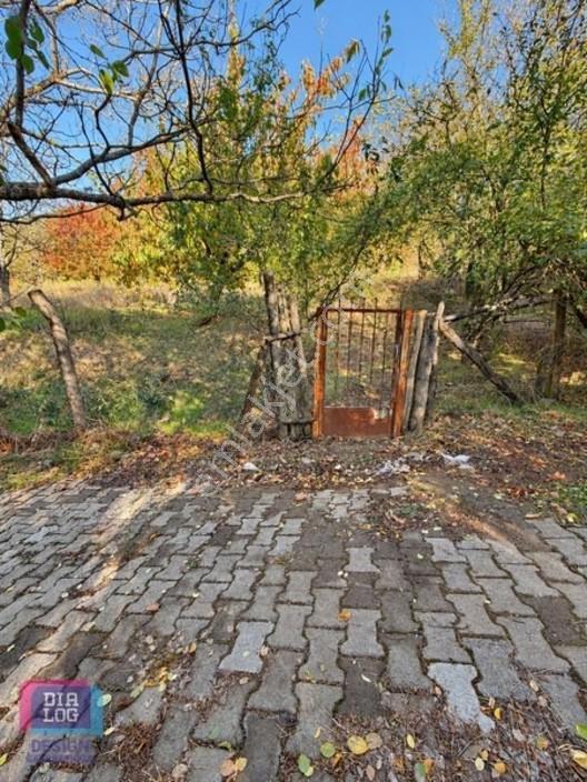 Kemalpaşa Ovacık'ta Özel Yollu 7 Dönüm Kiraz - Ceviz Bahçesi — fotoğraf 2
