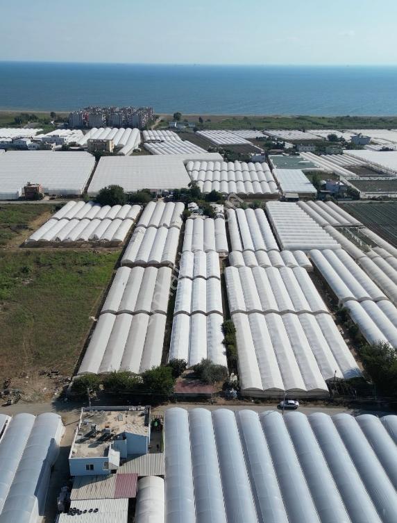İmar Sınırına Ve Mahalle Merkezine Yakın 2.056 M2 Tarla — fotoğraf 11