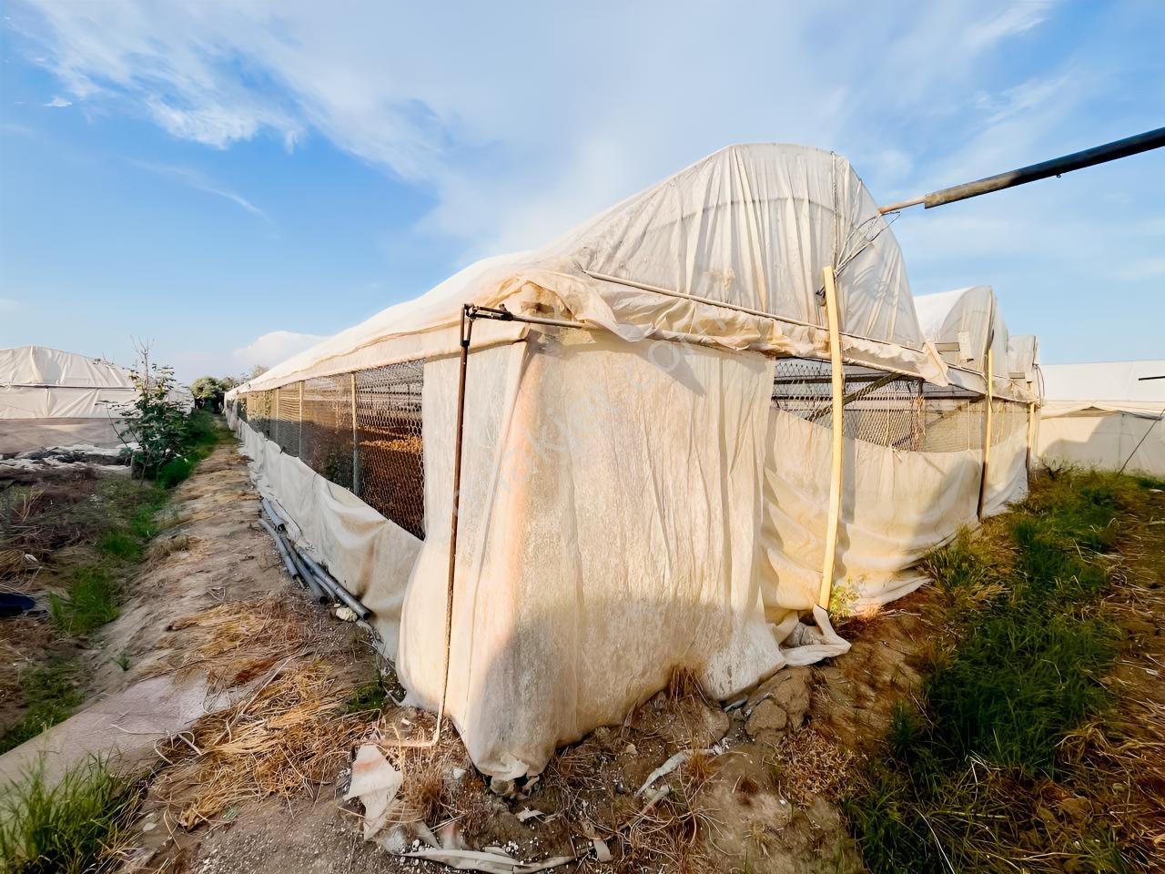 İmar Sınırına Ve Mahalle Merkezine Yakın 2.056 M2 Tarla — fotoğraf 15