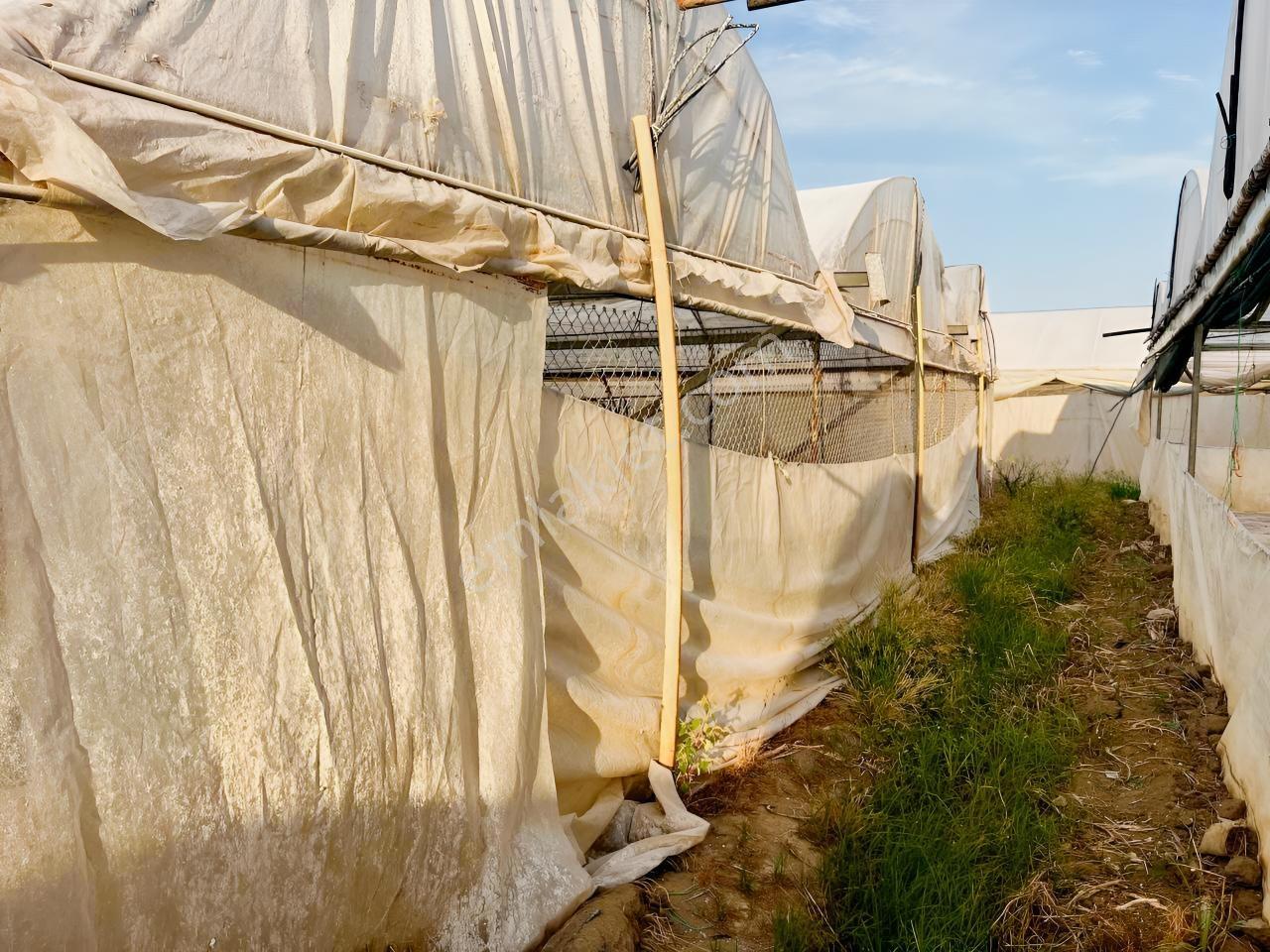 İmar Sınırına Ve Mahalle Merkezine Yakın 2.056 M2 Tarla — fotoğraf 16
