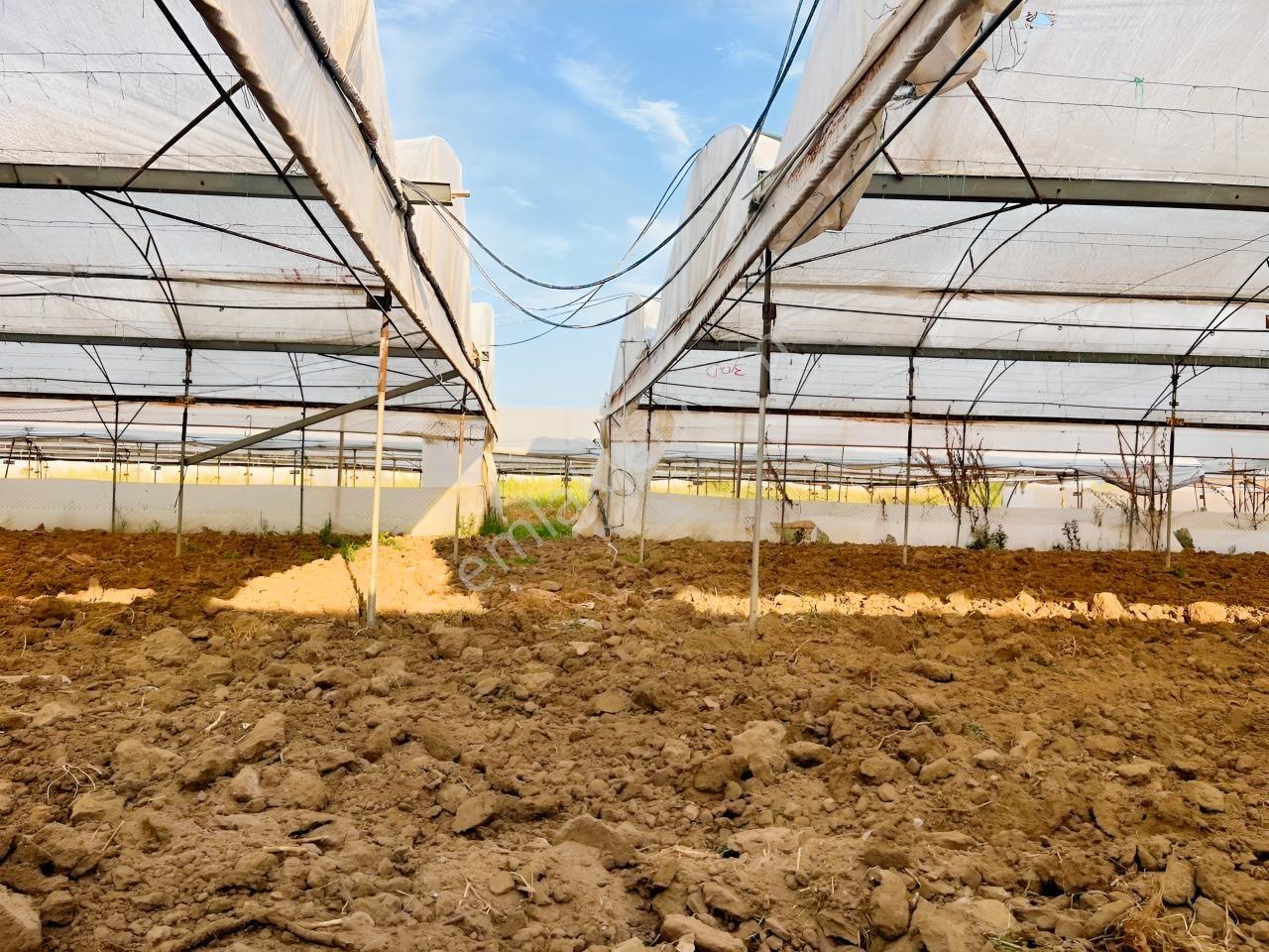 İmar Sınırına Ve Mahalle Merkezine Yakın 2.056 M2 Tarla — fotoğraf 17