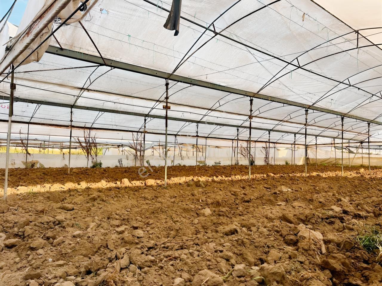 İmar Sınırına Ve Mahalle Merkezine Yakın 2.056 M2 Tarla — fotoğraf 18
