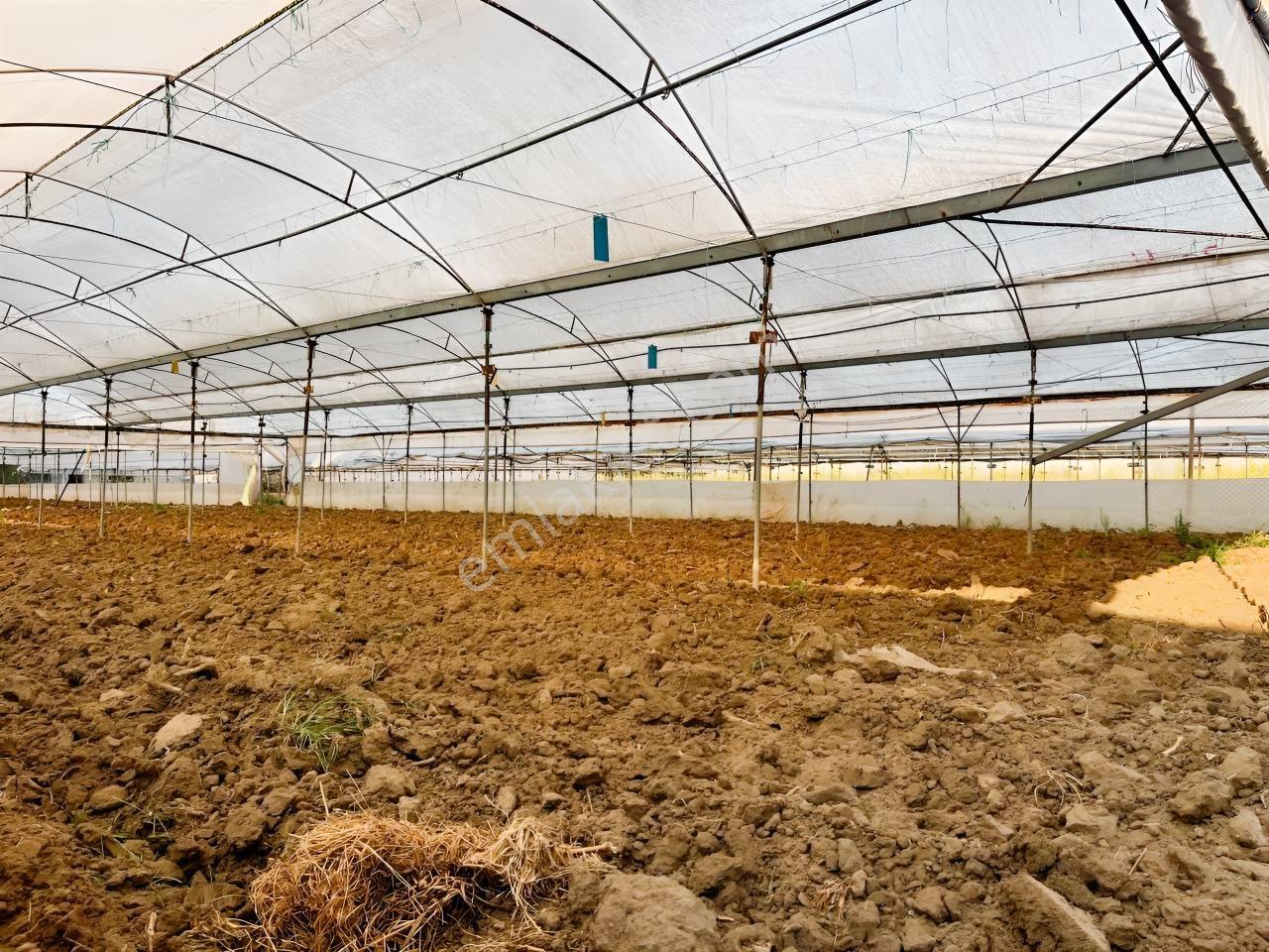 İmar Sınırına Ve Mahalle Merkezine Yakın 2.056 M2 Tarla — fotoğraf 19