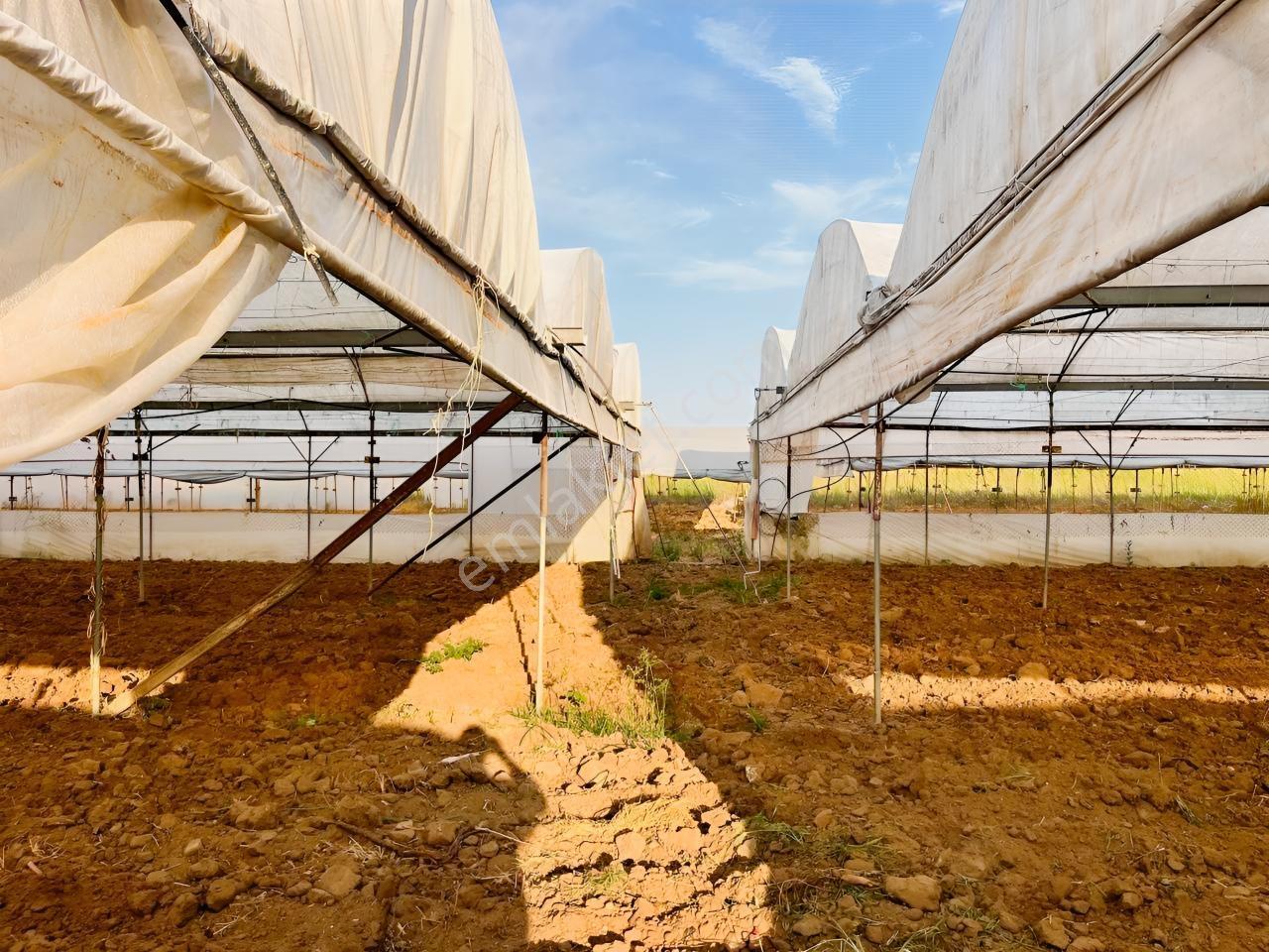 İmar Sınırına Ve Mahalle Merkezine Yakın 2.056 M2 Tarla — fotoğraf 20