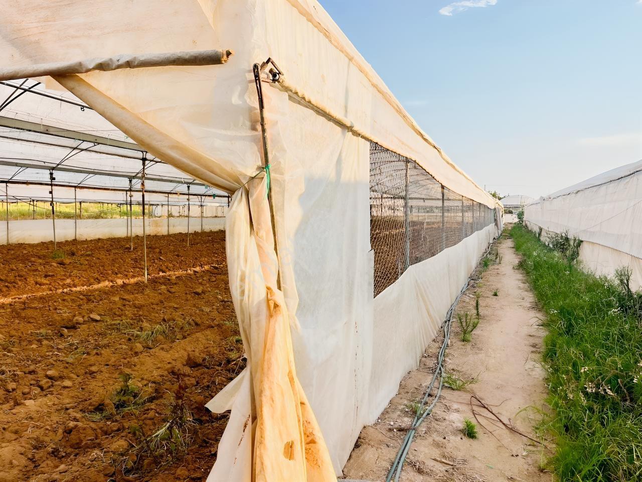 İmar Sınırına Ve Mahalle Merkezine Yakın 2.056 M2 Tarla — fotoğraf 21